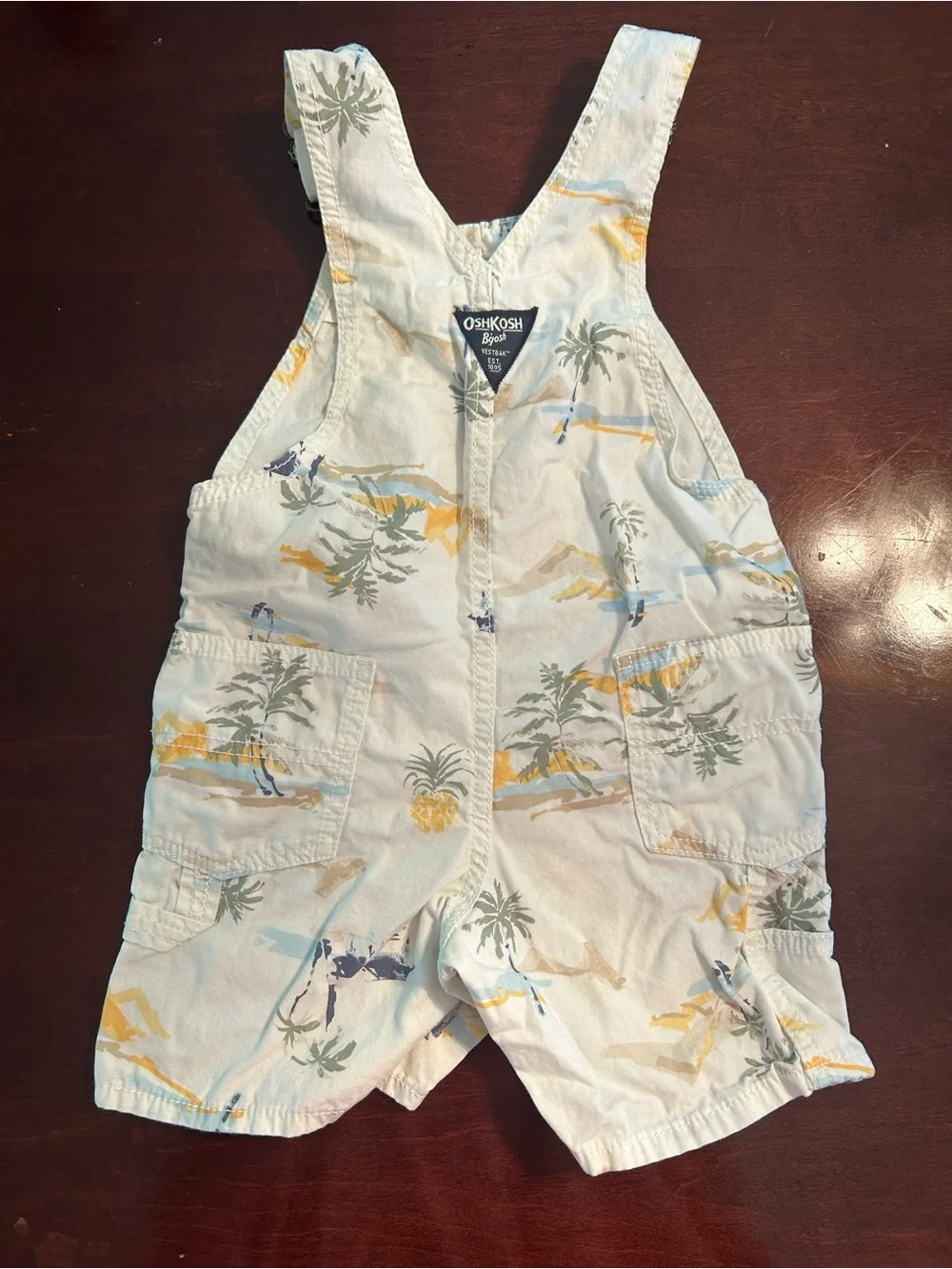 ✨OshKosh B'gosh Light Blue Palm-Print Toddler Overall Shorts